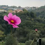 Bed & Breakfast Boutique Dolce Far Niente 3*