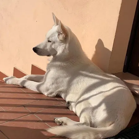 Boutique Dolce Far Niente Penne