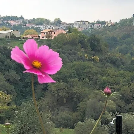 Boutique Dolce Far Niente 3* Penne