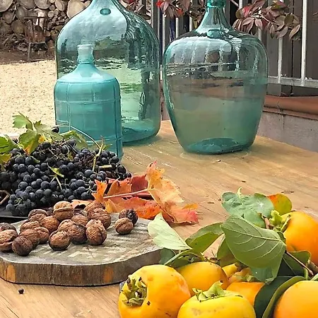 Boutique Dolce Far Niente