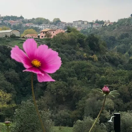 Bed & Breakfast Boutique Dolce Far Niente 3*