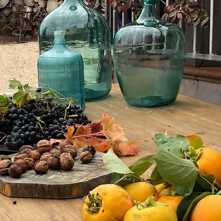 فندق مبيت وإفطار Boutique Dolce Far Niente Penne