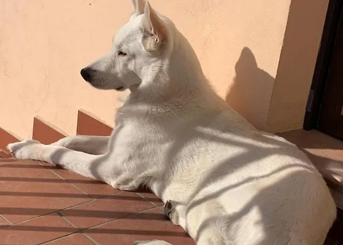 Boutique Dolce Far Niente Penne