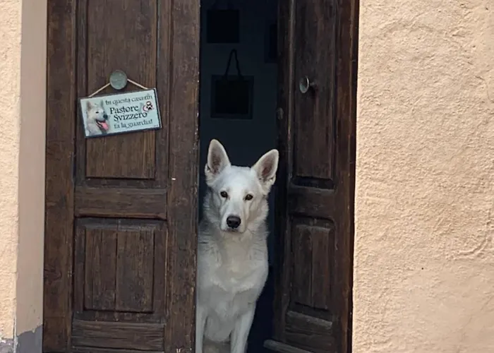 Bed & Breakfast Boutique Dolce Far Niente