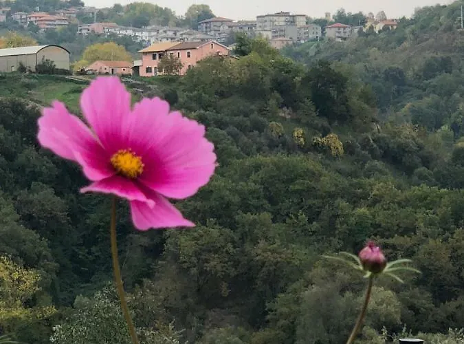 Bed & Breakfast Boutique Dolce Far Niente 3*