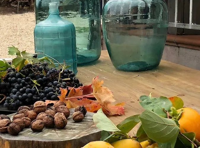 Bed & Breakfast Boutique Dolce Far Niente Penne